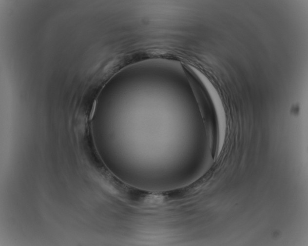 X0000090620227200707311251