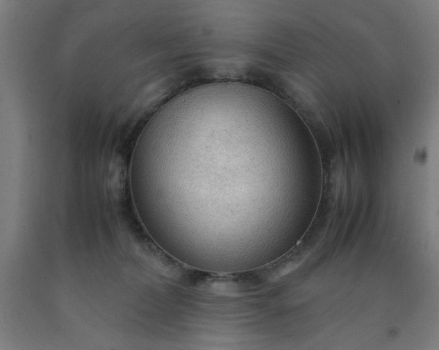 X0000090620228200707311251