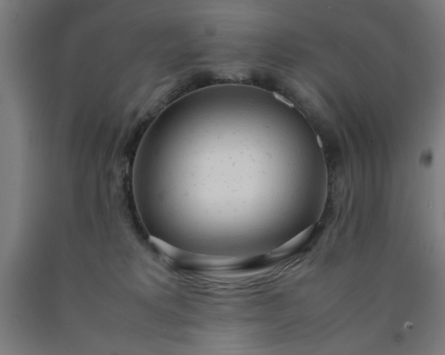 X0000090620229200707311251