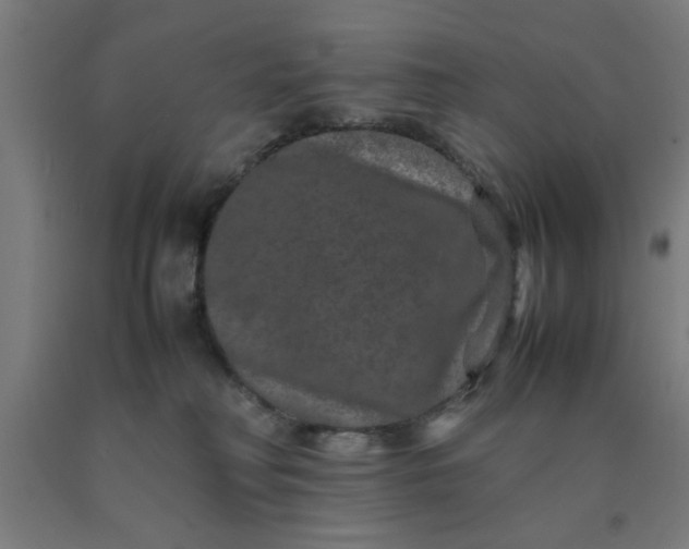 X0000090620230200707311251