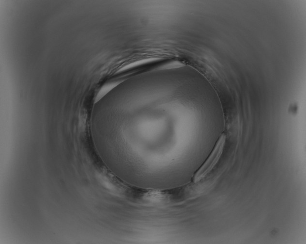 X0000090620231200707311250