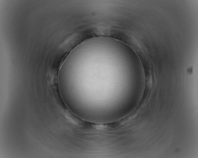 X0000090620233200707311250