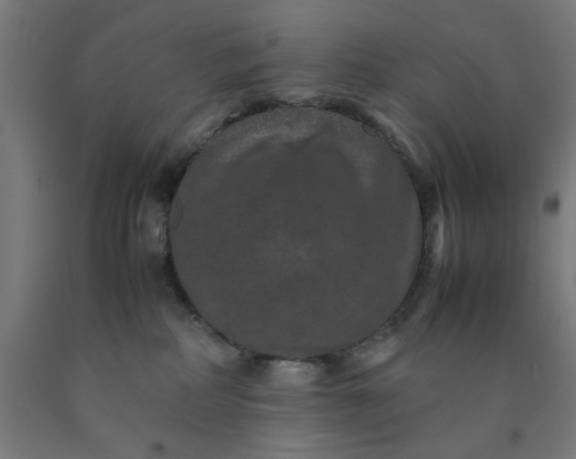 X0000090620234200707311250