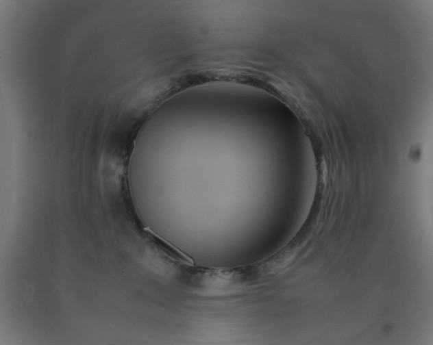 X0000090620235200707311250