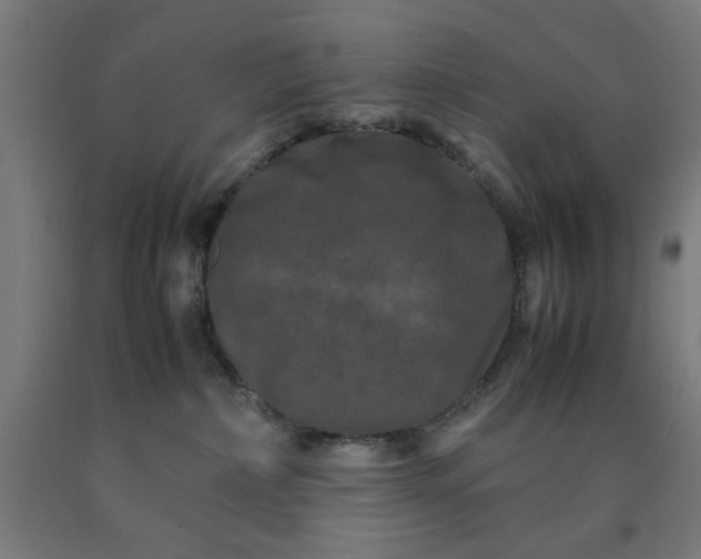 X0000090620236200707311250