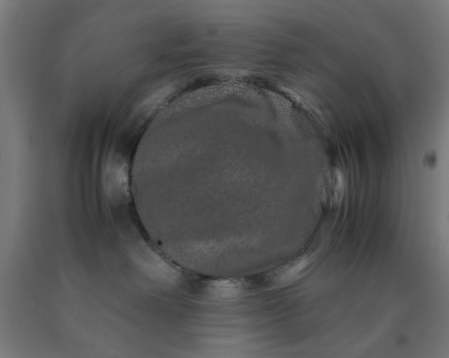 X0000090620238200707311250