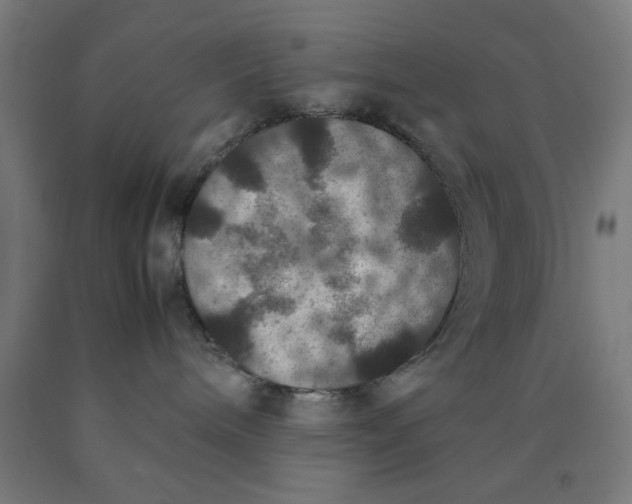 X0000090620240200707311250