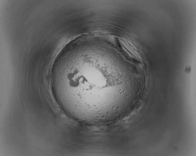 X0000090620241200707311250