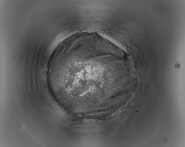 X0000090620242200707311250