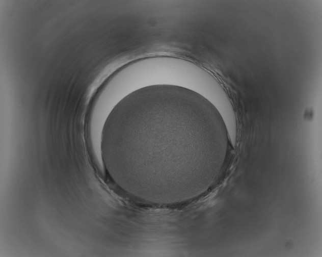 X0000090620244200707311250