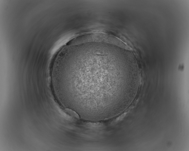 X0000090620245200707311250