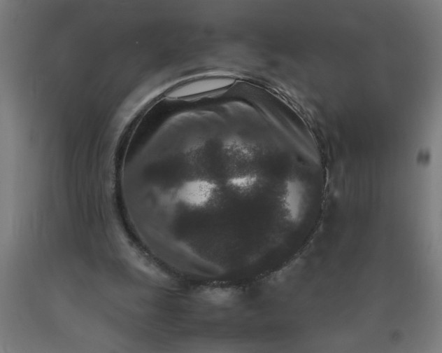 X0000090620247200707311250