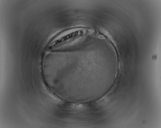 X0000090620249200707311250