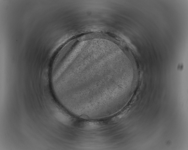 X0000090620250200707311250