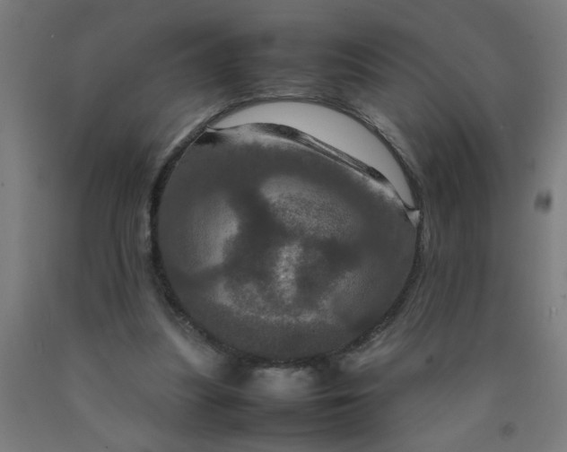 X0000090620251200707311250