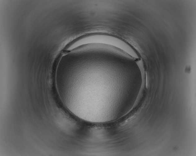 X0000090620252200707311250