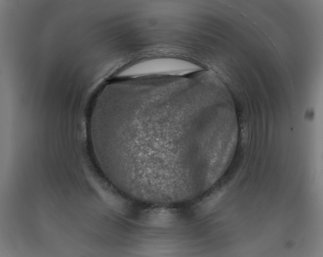 X0000090620254200707311250