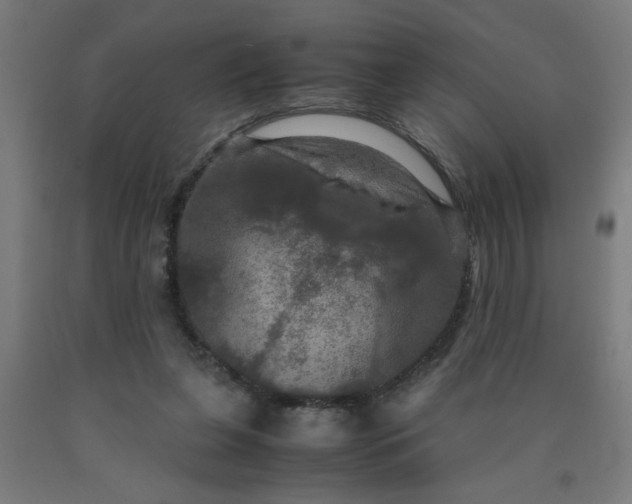 X0000090620255200707311250