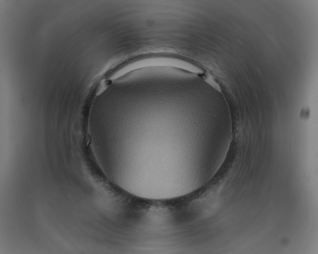 X0000090620256200707311250