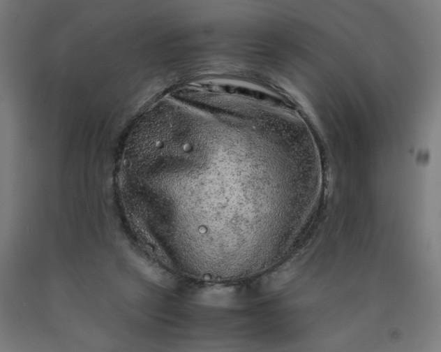 X0000090620257200707311250