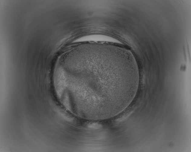 X0000090620258200707311250