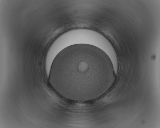 X0000090620260200707311250