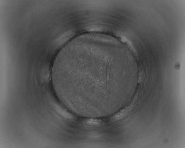 X0000090620261200707311250