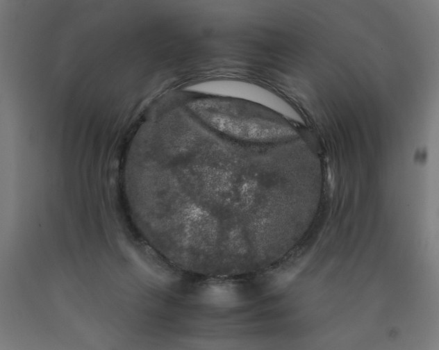 X0000090620263200707311250