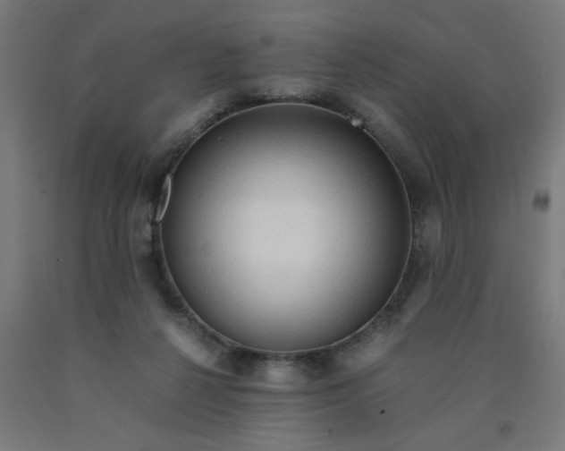 X0000090620264200707311250