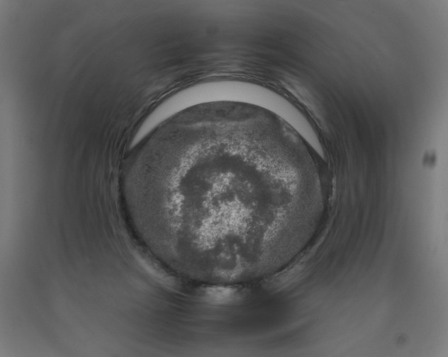 X0000090620265200707311250