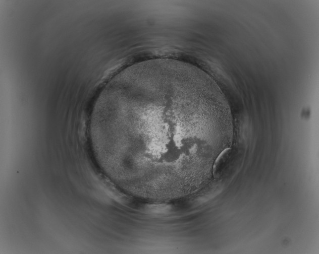 X0000090620266200707311250