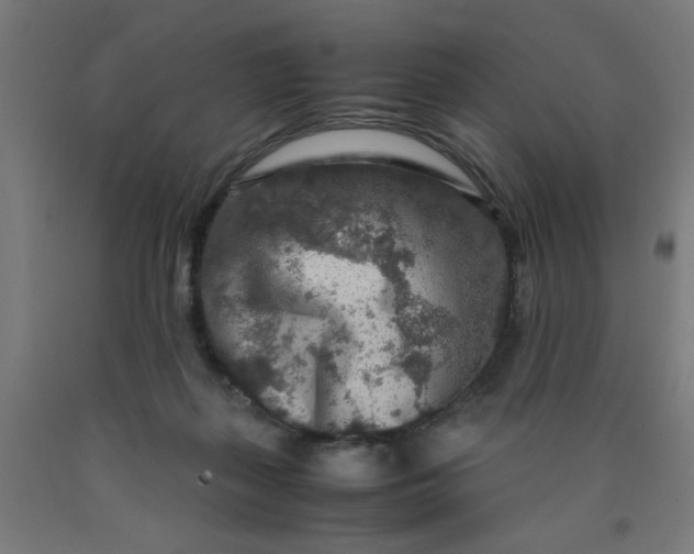 X0000090620267200707311250