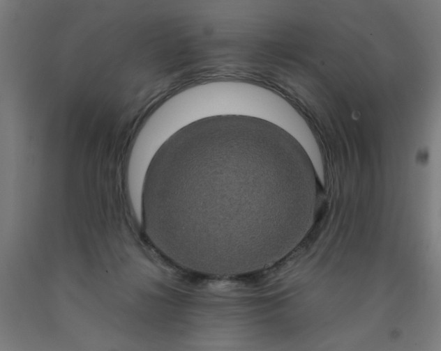 X0000090620268200707311250