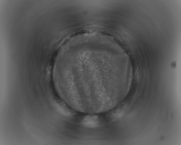 X0000090620271200707311250