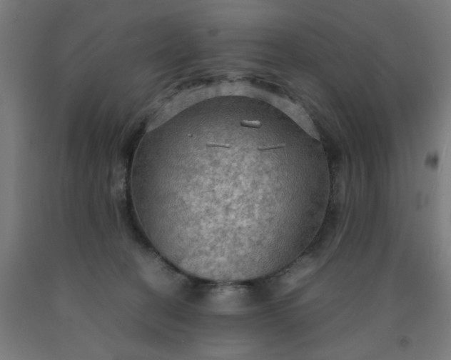 X0000090620274200707311250