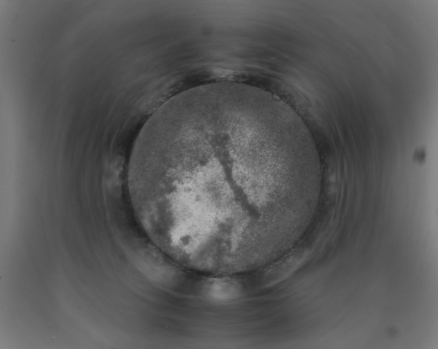 X0000090620275200707311250