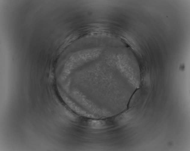 X0000090620277200707311250