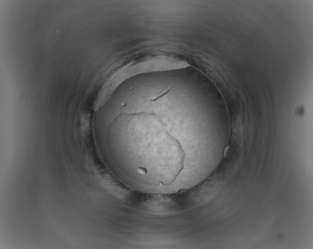 X0000090620278200707311250