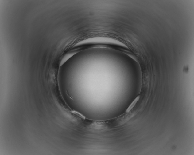 X0000090620280200707311250