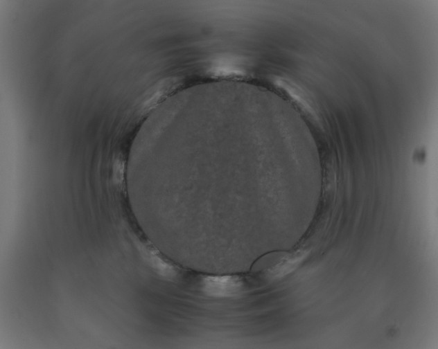 X0000090620281200707311250