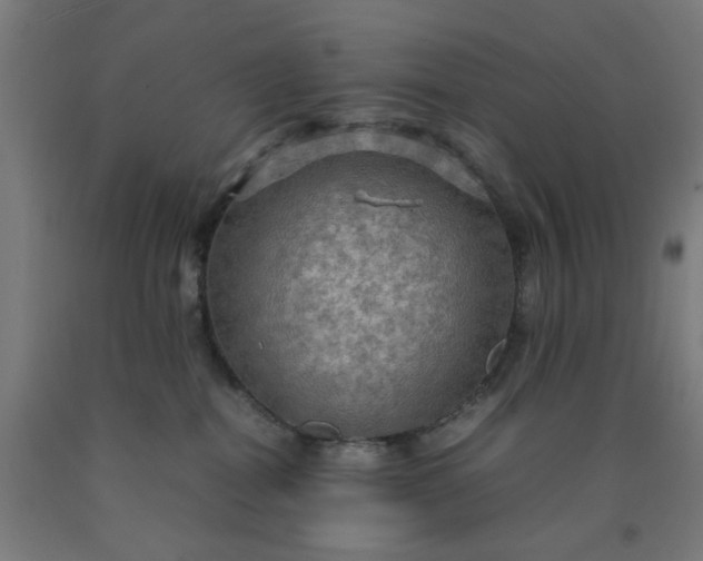 X0000090620282200707311250