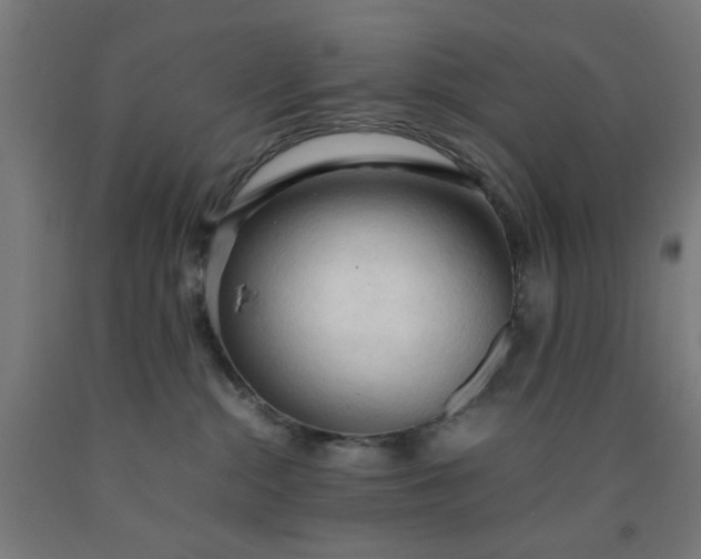 X0000090620284200707311250