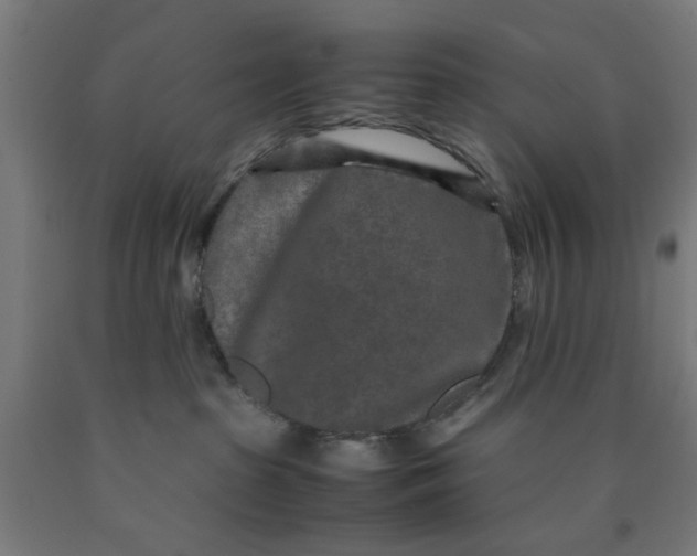 X0000090620285200707311250