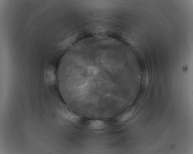 X0000090620287200707311250