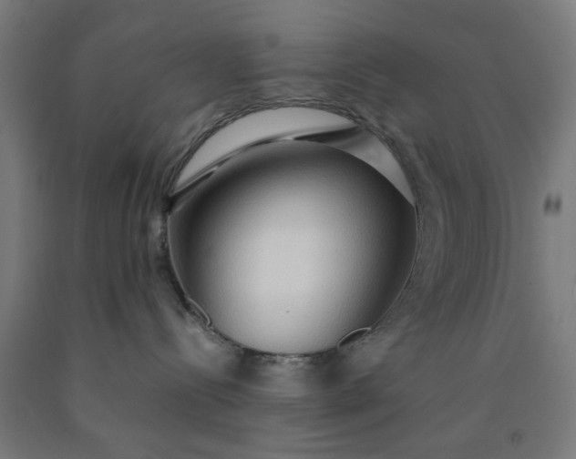 X0000090620288200707311250