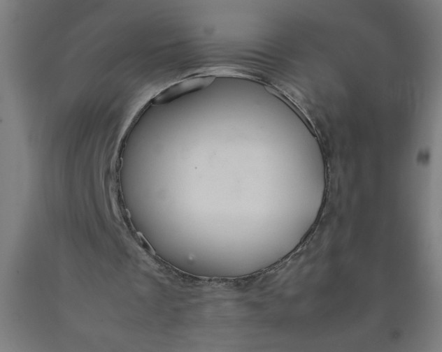 X0000090620289200707311250