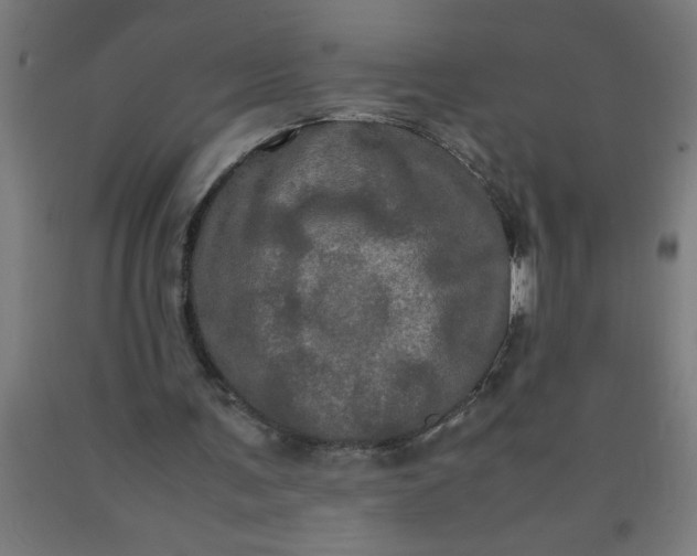 X0000090620291200707311250