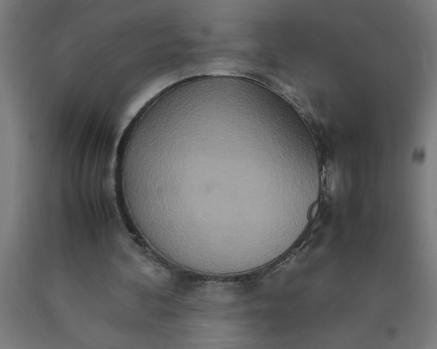 X0000090620292200707311250