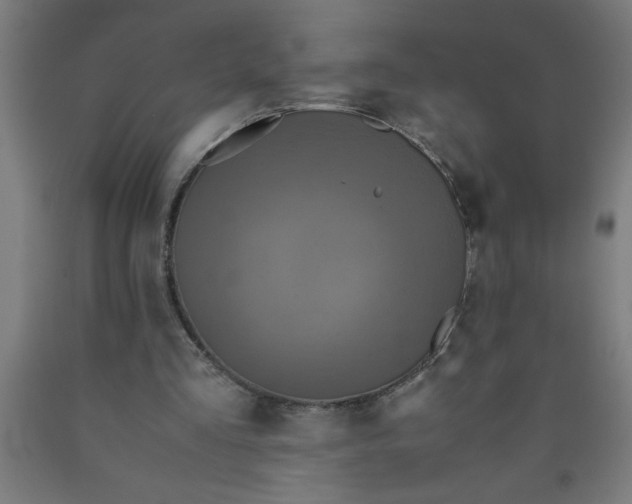 X0000090620293200707311250