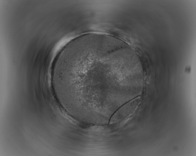 X0000090620294200707311250